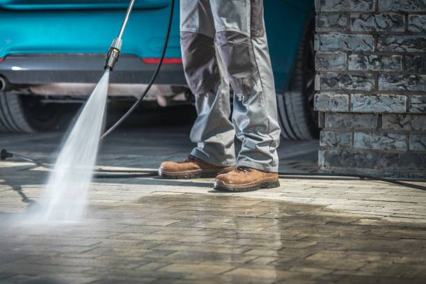 Best Roof Washing  in Swifton, AR
