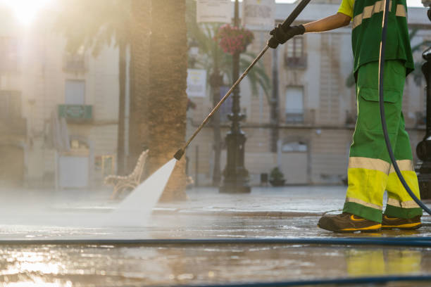 Best Solar Panel Cleaning  in Swifton, AR